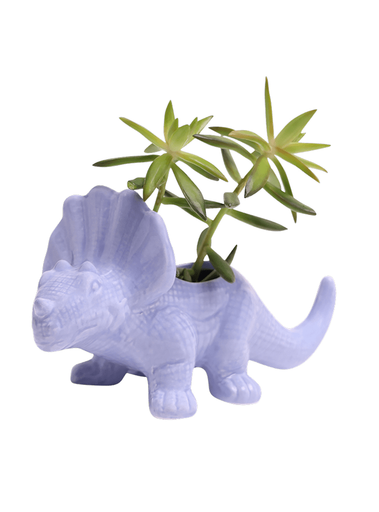 Triceratops Ceramic Indoor Plant Pot for Succulents - Chive Ceramics Studio - Pots - Chive Ceramics Studio