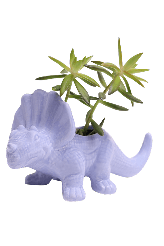 Triceratops Ceramic Indoor Plant Pot for Succulents - Chive Ceramics Studio - Pots - Chive Ceramics Studio