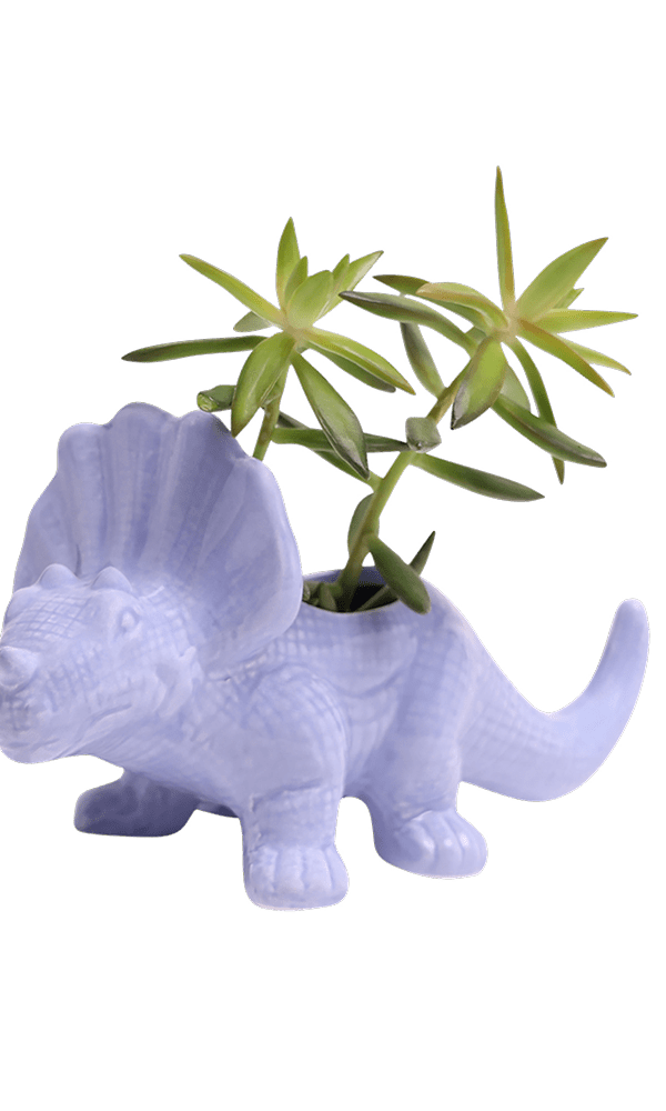 Triceratops Ceramic Indoor Plant Pot for Succulents - Chive Ceramics Studio - Pots - Chive Ceramics Studio