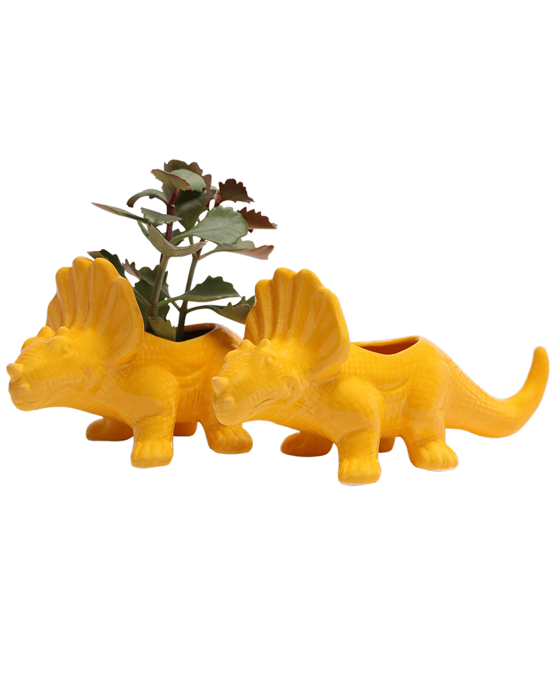 Triceratops Ceramic Indoor Plant Pot for Succulents - Chive Ceramics Studio - Pots - Chive Ceramics Studio