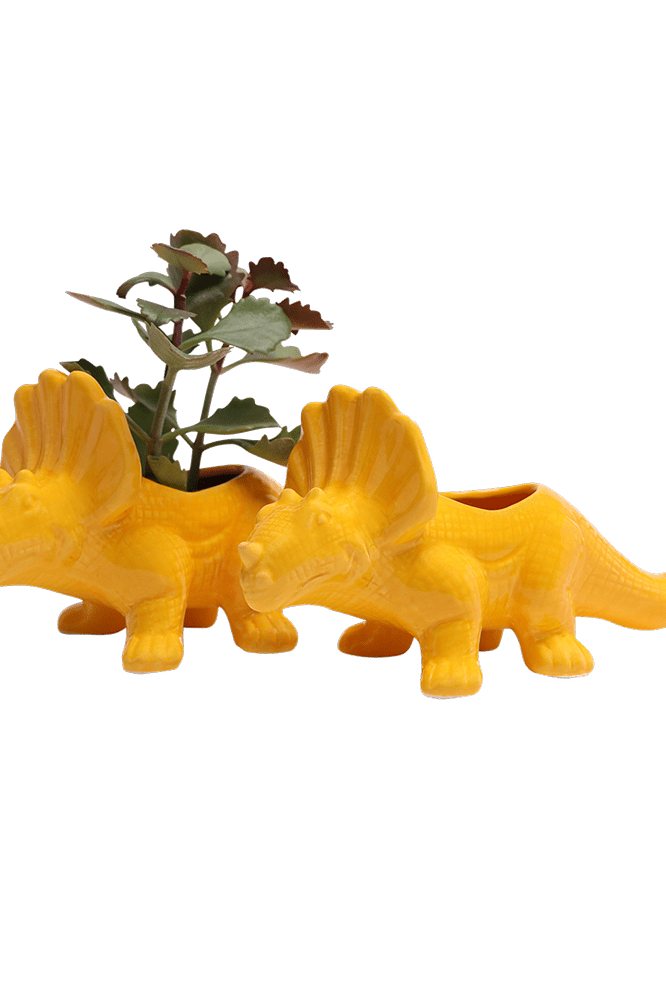 Triceratops Ceramic Indoor Plant Pot for Succulents - Chive Ceramics Studio - Pots - Chive Ceramics Studio
