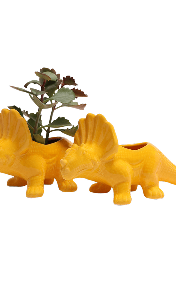 Triceratops Ceramic Indoor Plant Pot for Succulents - Chive Ceramics Studio - Pots - Chive Ceramics Studio