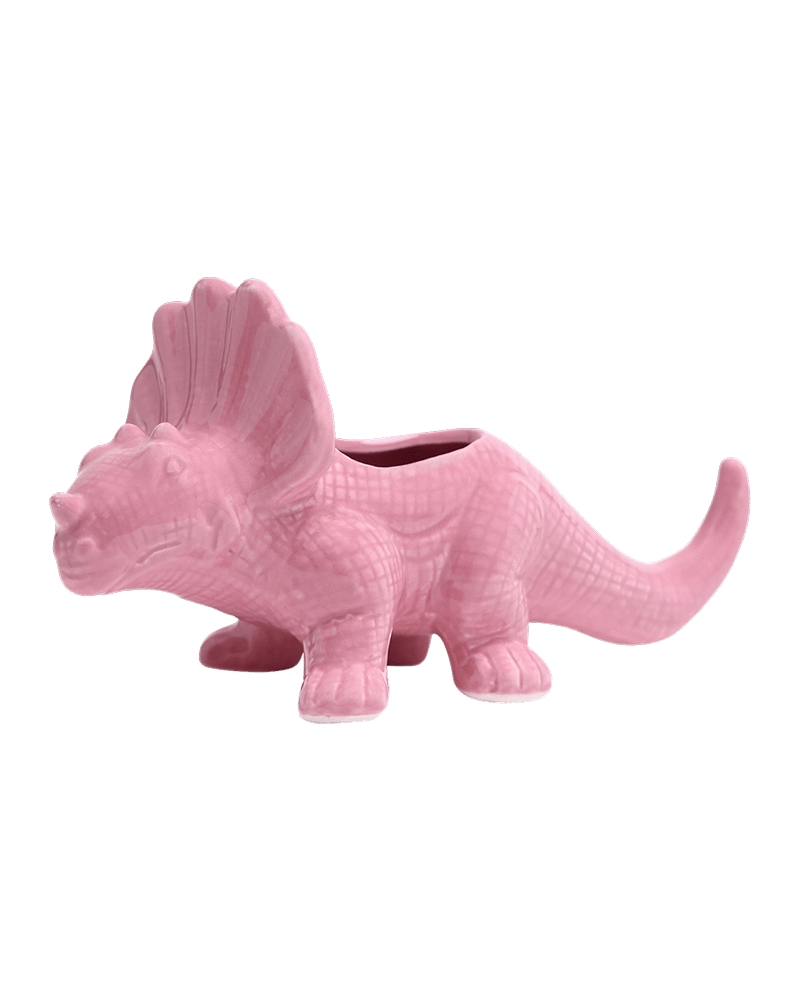 Triceratops Ceramic Indoor Plant Pot for Succulents - Chive Ceramics Studio - Pots - Chive Ceramics Studio