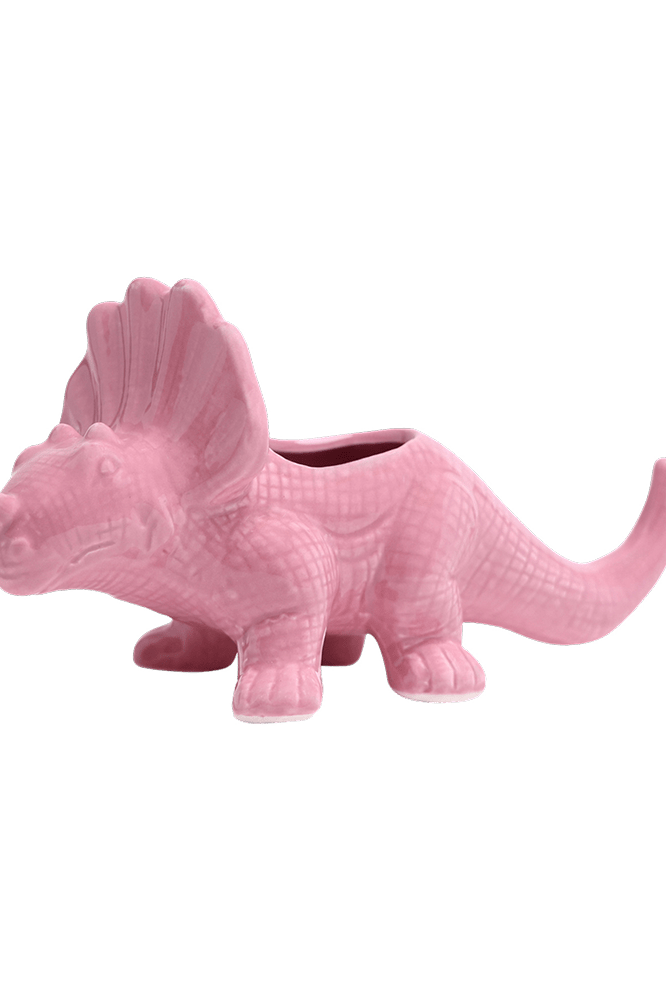 Triceratops Ceramic Indoor Plant Pot for Succulents - Chive Ceramics Studio - Pots - Chive Ceramics Studio