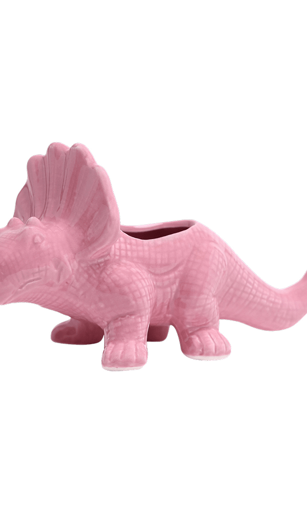 Triceratops Ceramic Indoor Plant Pot for Succulents - Chive Ceramics Studio - Pots - Chive Ceramics Studio