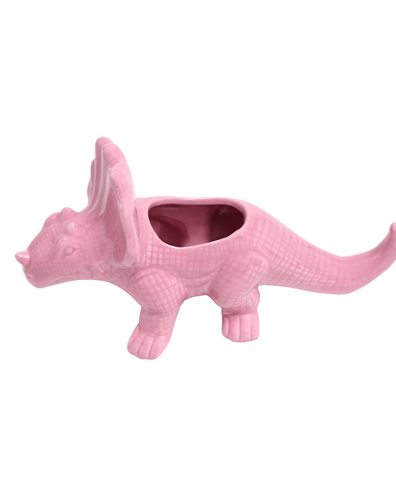 Triceratops Ceramic Indoor Plant Pot for Succulents - Chive Ceramics Studio - Pots - Chive Ceramics Studio