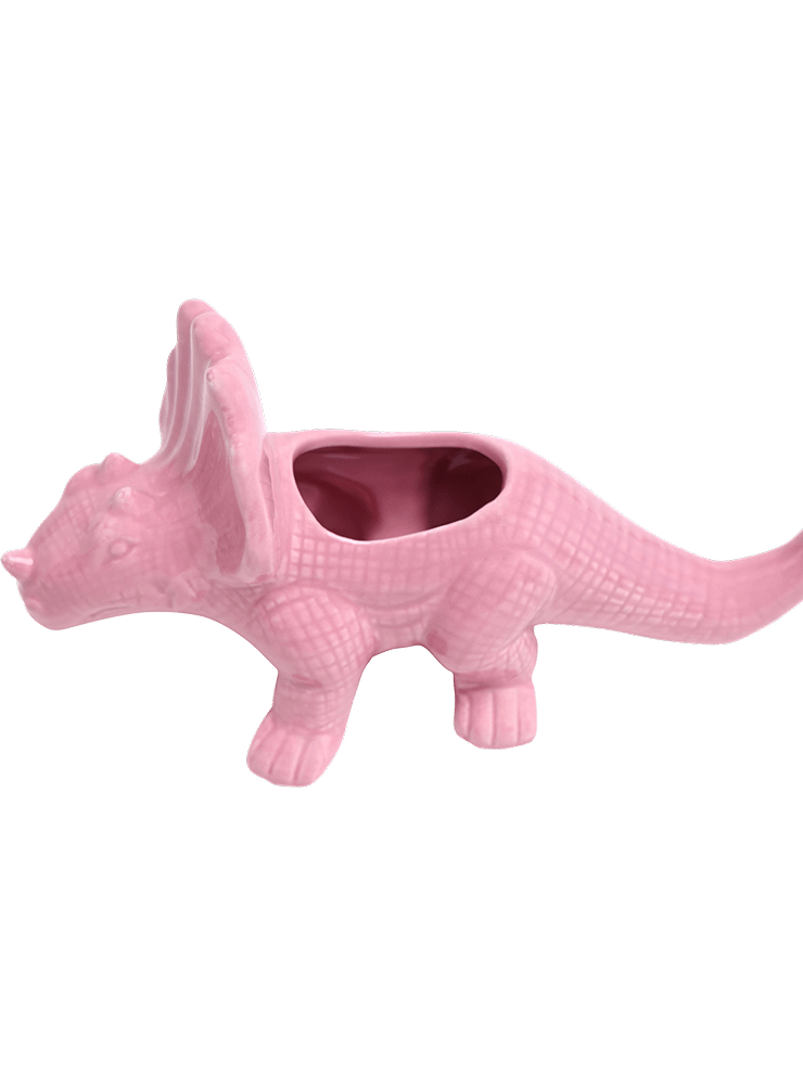Triceratops Ceramic Indoor Plant Pot for Succulents - Chive Ceramics Studio - Pots - Chive Ceramics Studio