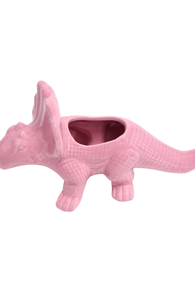 Triceratops Ceramic Indoor Plant Pot for Succulents - Chive Ceramics Studio - Pots - Chive Ceramics Studio