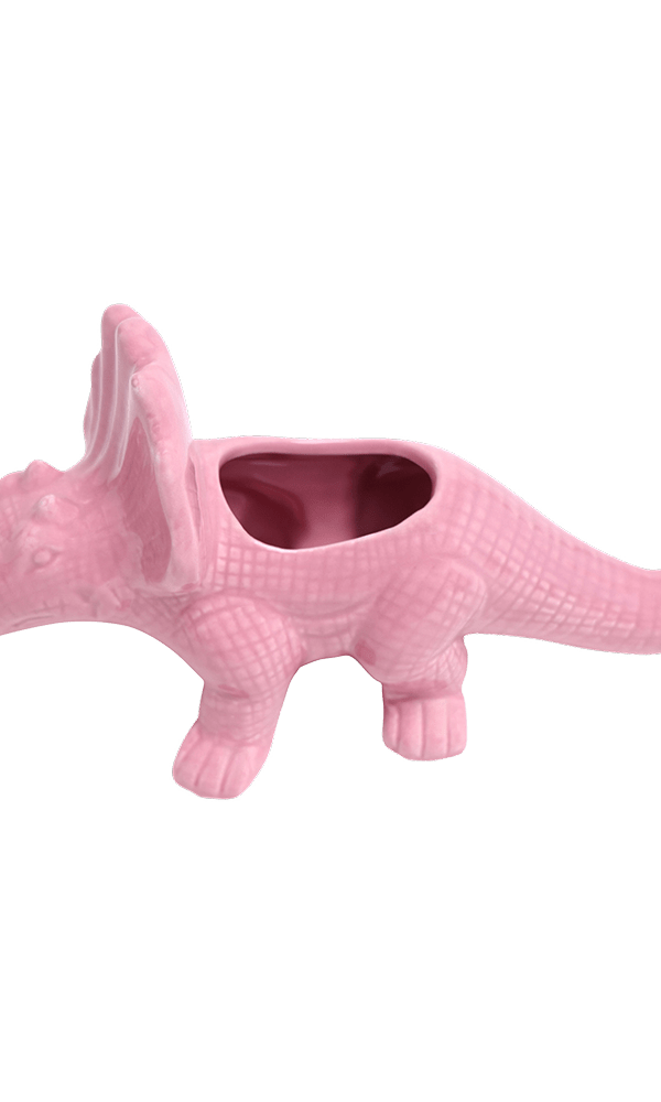 Triceratops Ceramic Indoor Plant Pot for Succulents - Chive Ceramics Studio - Pots - Chive Ceramics Studio