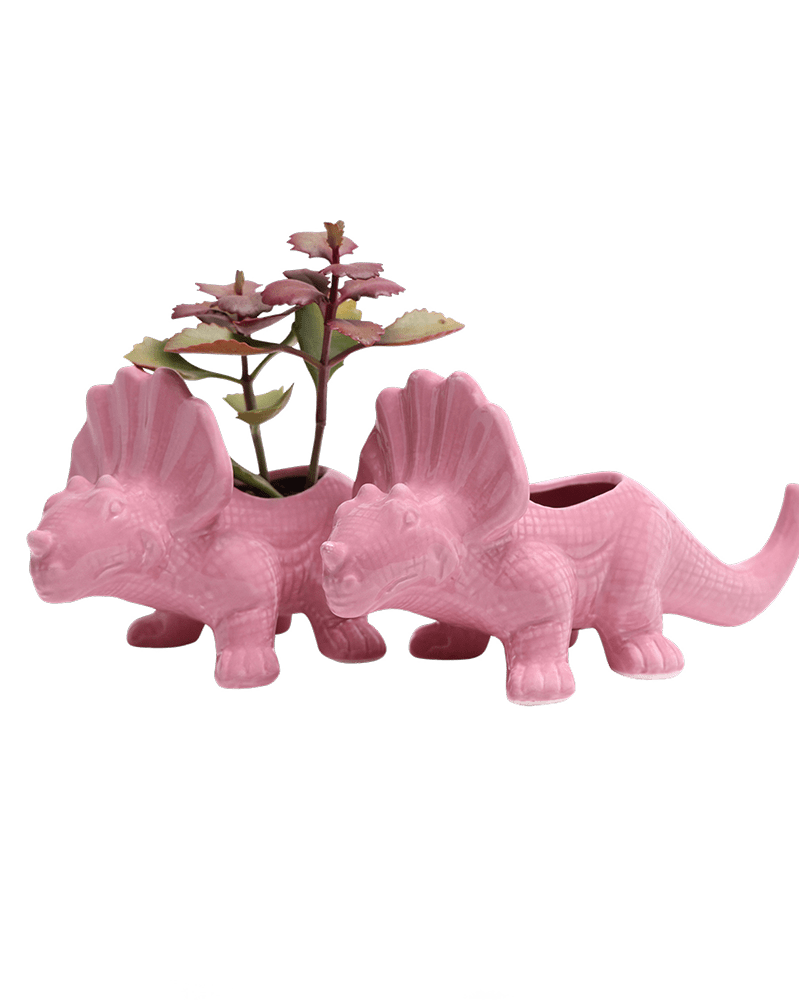 Triceratops Ceramic Indoor Plant Pot for Succulents - Chive Ceramics Studio - Pots - Chive Ceramics Studio