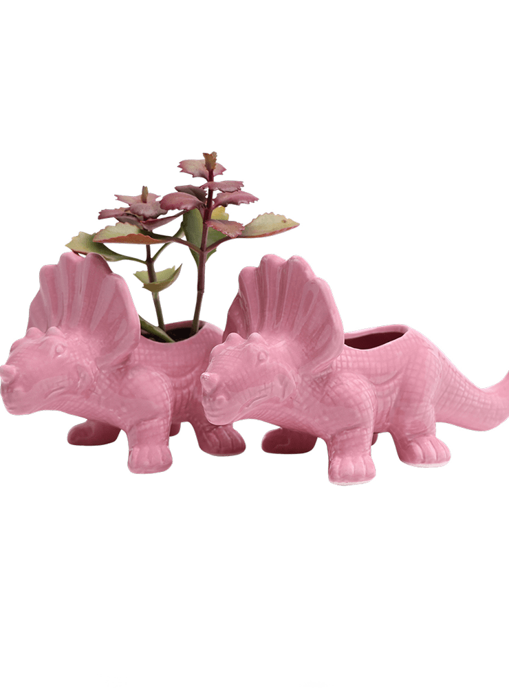 Triceratops Ceramic Indoor Plant Pot for Succulents - Chive Ceramics Studio - Pots - Chive Ceramics Studio