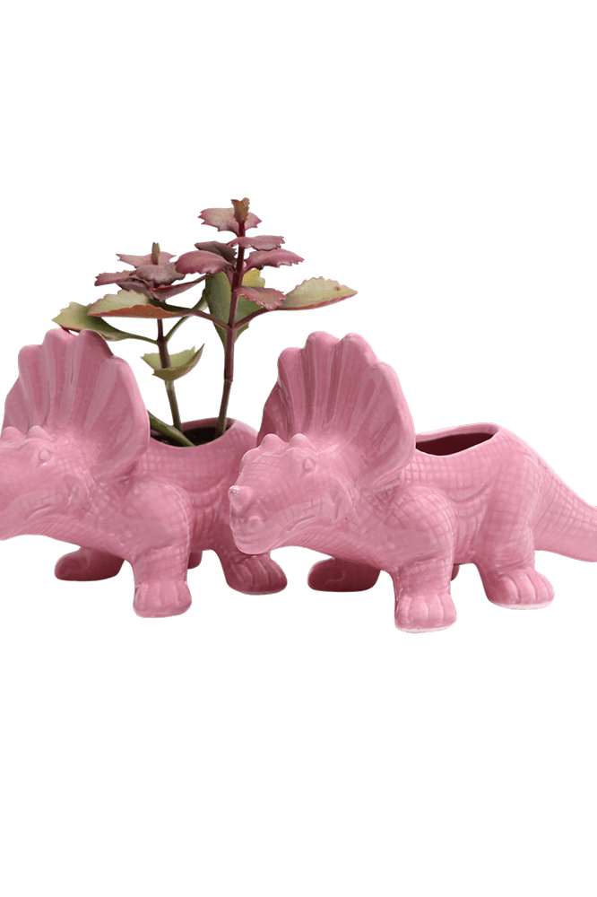 Triceratops Ceramic Indoor Plant Pot for Succulents - Chive Ceramics Studio - Pots - Chive Ceramics Studio