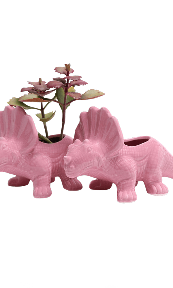 Triceratops Ceramic Indoor Plant Pot for Succulents - Chive Ceramics Studio - Pots - Chive Ceramics Studio