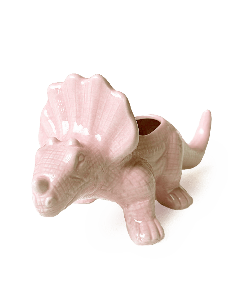 Triceratops Ceramic Indoor Plant Pot for Succulents - Chive Ceramics Studio - Pots - Chive Ceramics Studio