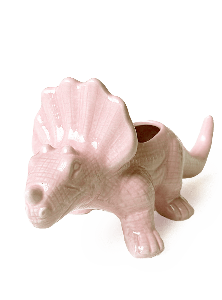 Triceratops Ceramic Indoor Plant Pot for Succulents - Chive Ceramics Studio - Pots - Chive Ceramics Studio