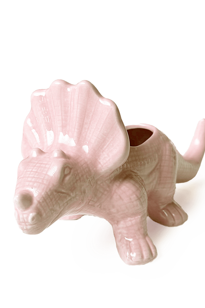 Triceratops Ceramic Indoor Plant Pot for Succulents - Chive Ceramics Studio - Pots - Chive Ceramics Studio