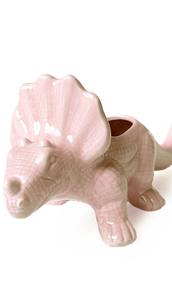 Triceratops Ceramic Indoor Plant Pot for Succulents - Chive Ceramics Studio - Pots - Chive Ceramics Studio