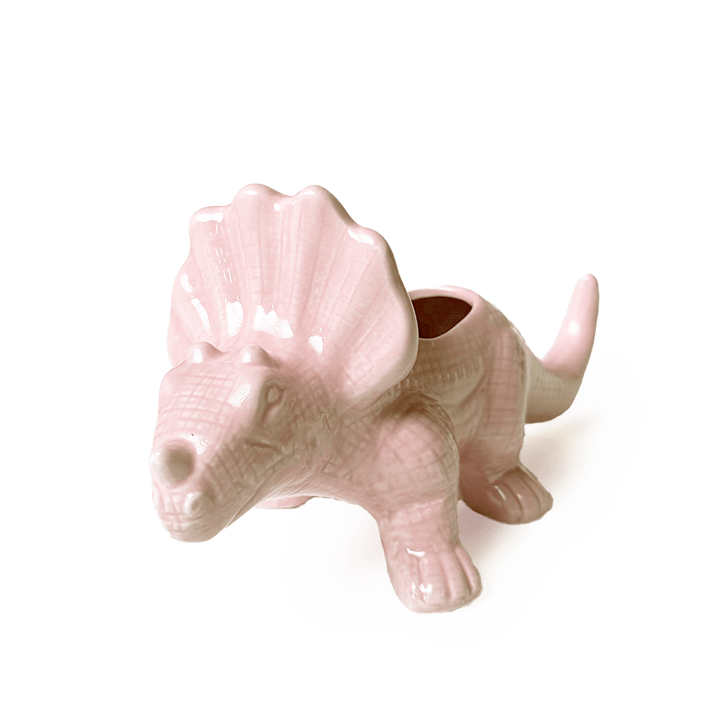 Triceratops Ceramic Indoor Plant Pot for Succulents - Chive Ceramics Studio - Pots - Chive Ceramics Studio