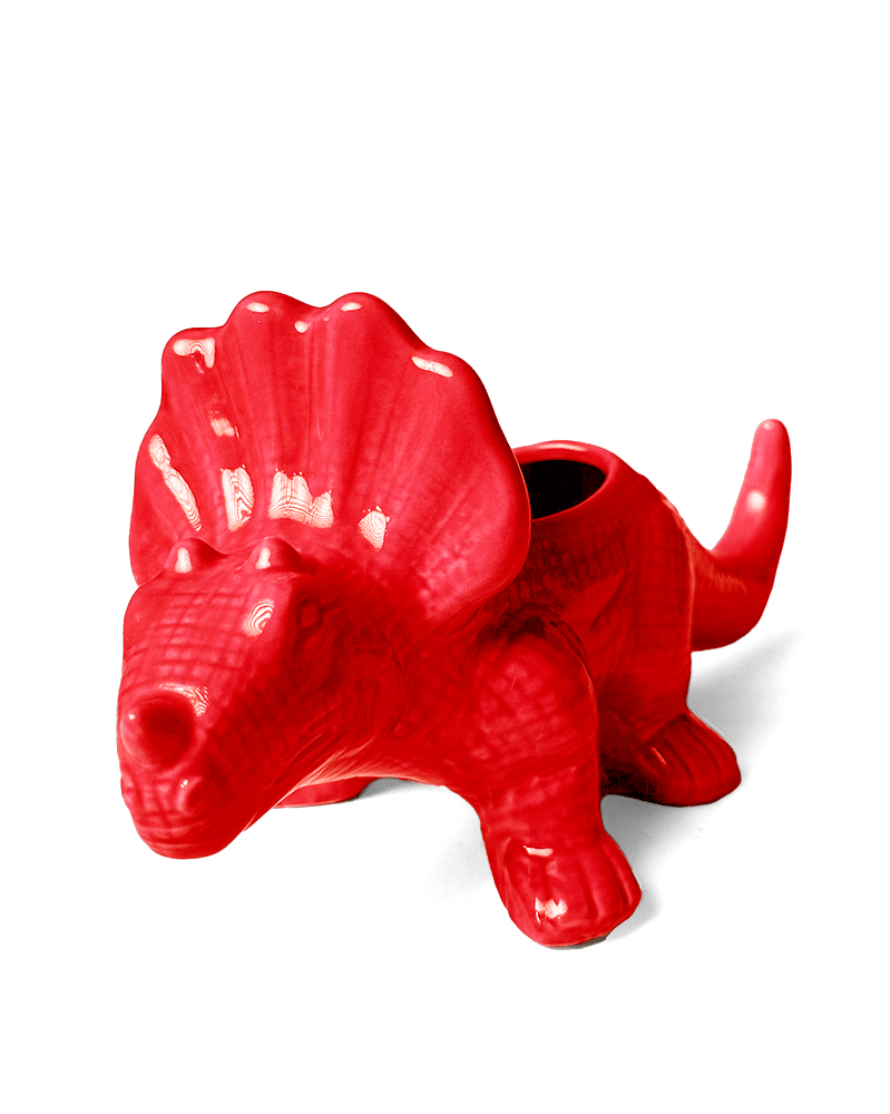 Triceratops Ceramic Indoor Plant Pot for Succulents - Chive Ceramics Studio - Pots - Chive Ceramics Studio