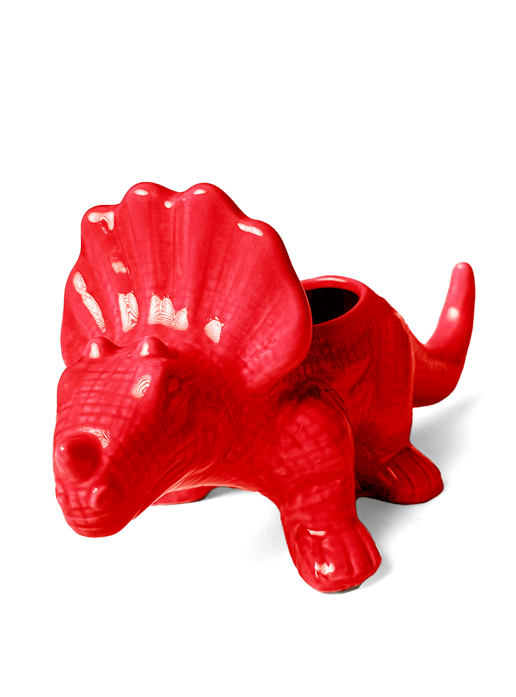 Triceratops Ceramic Indoor Plant Pot for Succulents - Chive Ceramics Studio - Pots - Chive Ceramics Studio