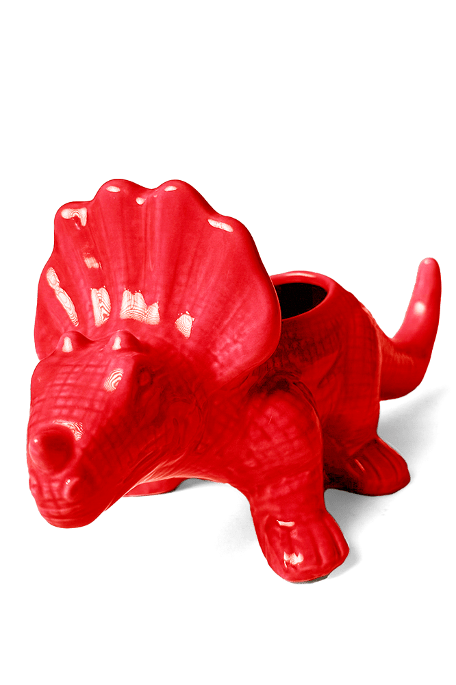 Triceratops Ceramic Indoor Plant Pot for Succulents - Chive Ceramics Studio - Pots - Chive Ceramics Studio