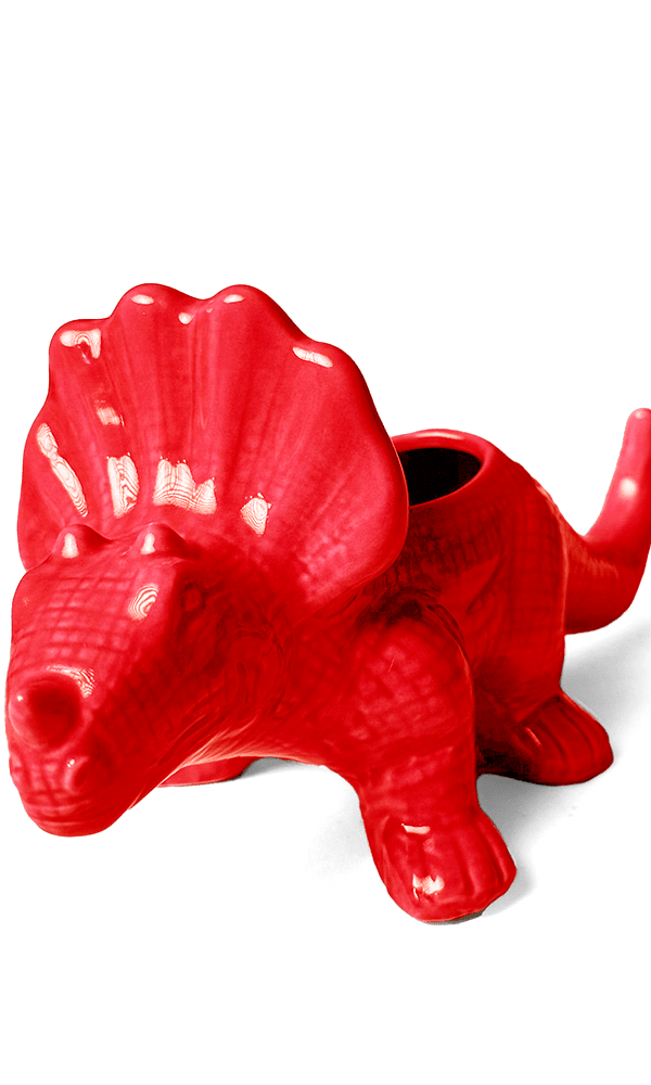 Triceratops Ceramic Indoor Plant Pot for Succulents - Chive Ceramics Studio - Pots - Chive Ceramics Studio