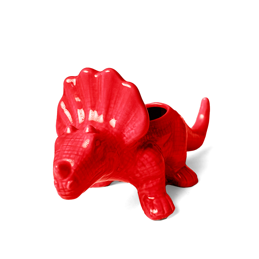 Triceratops Ceramic Indoor Plant Pot for Succulents - Chive Ceramics Studio - Pots - Chive Ceramics Studio