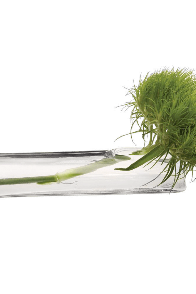 Test Tube Glass Bud Vases - Chive Ceramics Studio - Vases - Chive US