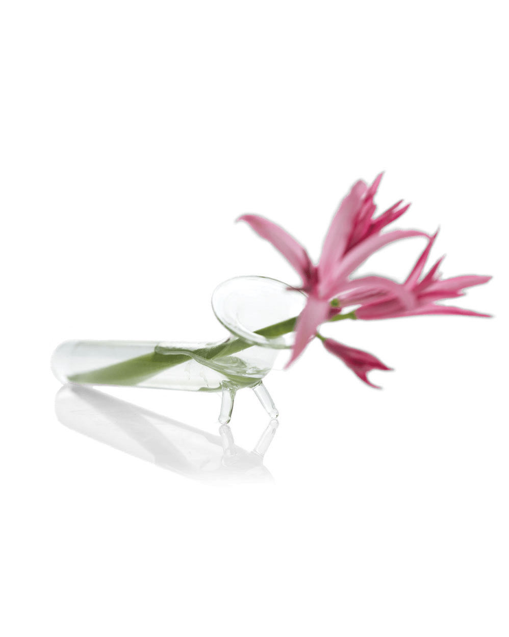 Test Tube Glass Bud Vases - Chive Ceramics Studio - Vases - Chive US