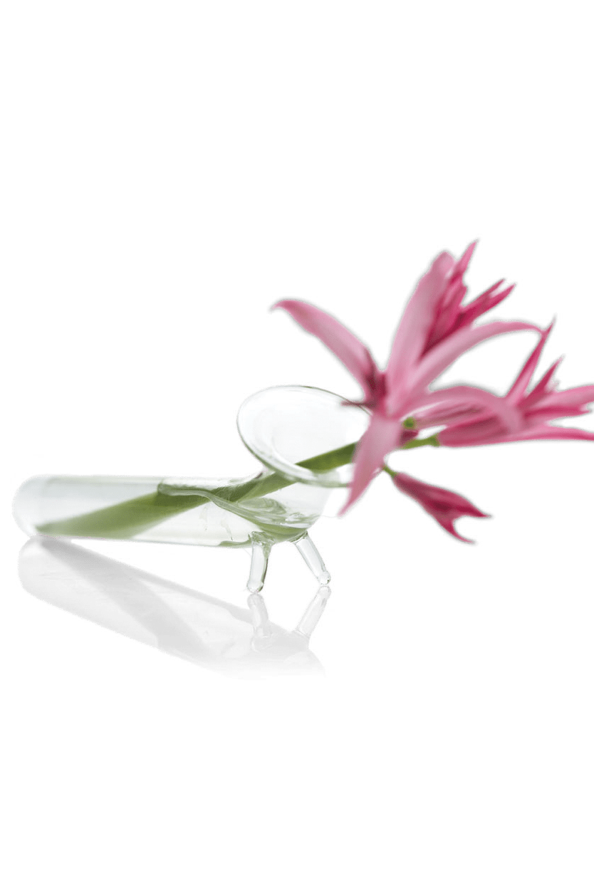 Test Tube Glass Bud Vases - Chive Ceramics Studio - Vases - Chive US