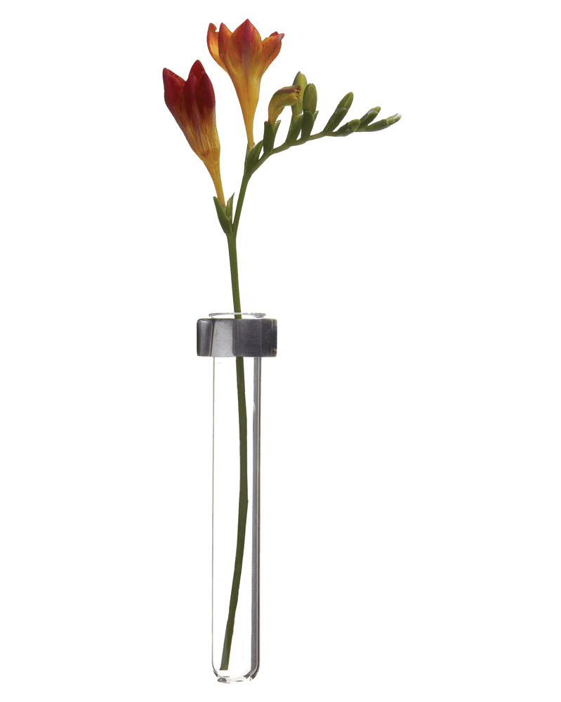 Alu Magnetic Flower Test Tube Holder - Chive Ceramics Studio - Vases - Chive US