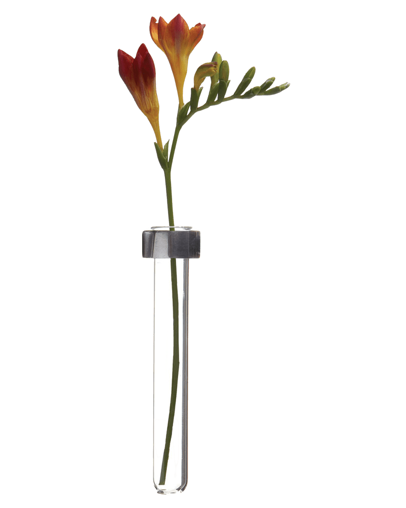 Alu Magnetic Flower Test Tube Holder - Chive Ceramics Studio - Vases - Chive US