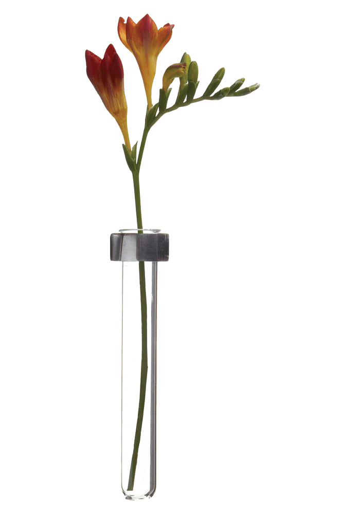 Alu Magnetic Flower Test Tube Holder - Chive Ceramics Studio - Vases - Chive US