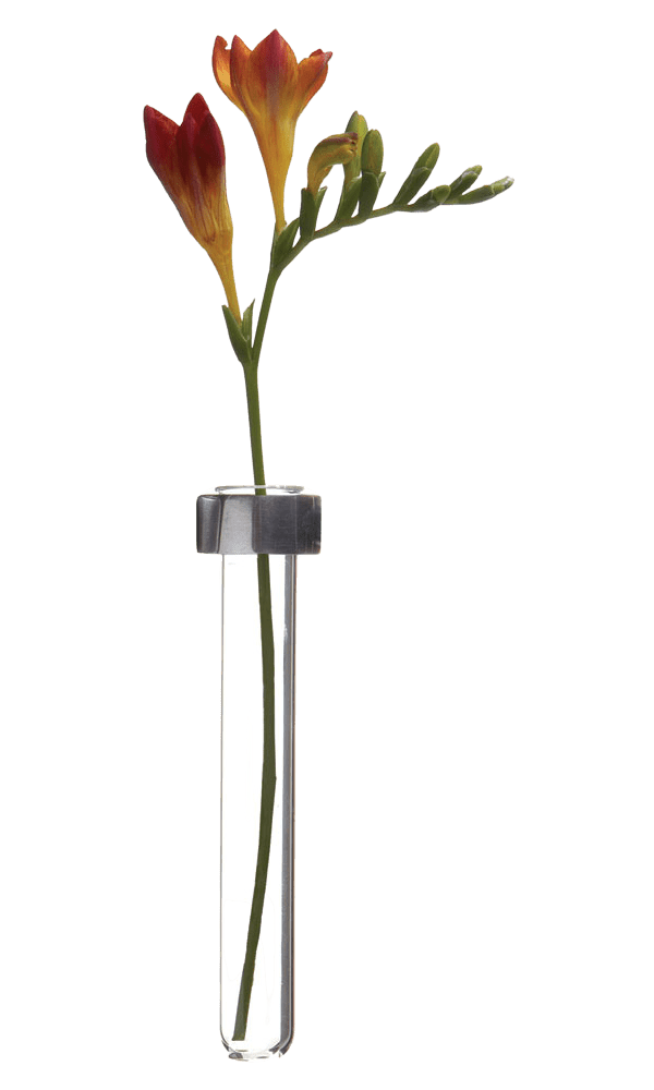 Alu Magnetic Flower Test Tube Holder - Chive Ceramics Studio - Vases - Chive US
