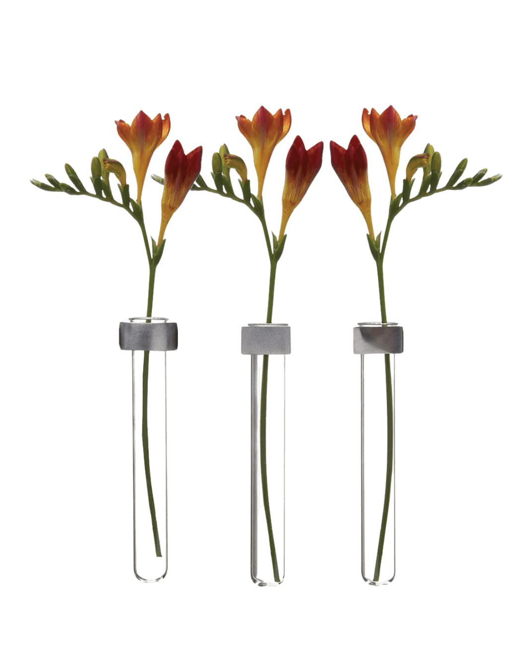 Alu Magnetic Flower Test Tube Holder - Chive Ceramics Studio - Vases - Chive US