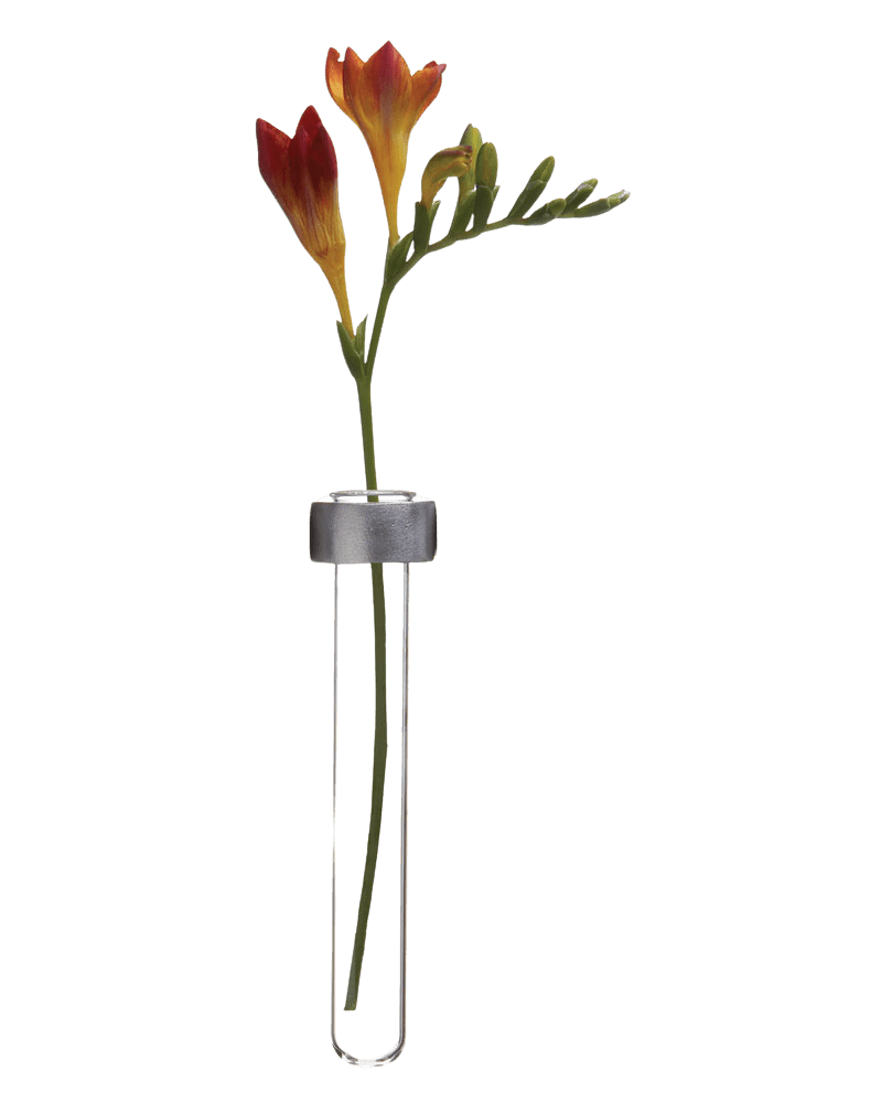 Alu Magnetic Flower Test Tube Holder - Chive Ceramics Studio - Vases - Chive US