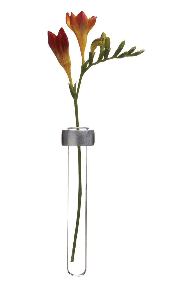 Alu Magnetic Flower Test Tube Holder - Chive Ceramics Studio - Vases - Chive US