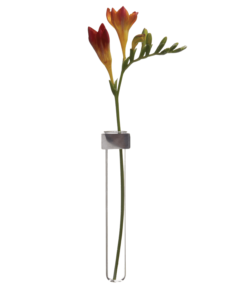 Alu Magnetic Flower Test Tube Holder - Chive Ceramics Studio - Vases - Chive US