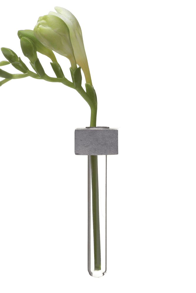 Alu Magnetic Flower Test Tube Holder - Chive Ceramics Studio - Vases - Chive US