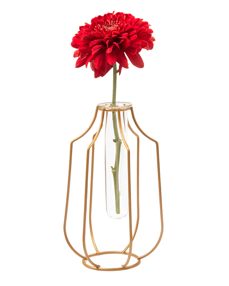 Test Tube Glass Propagation Vase - Chive Ceramics Studio - Vases - Chive US