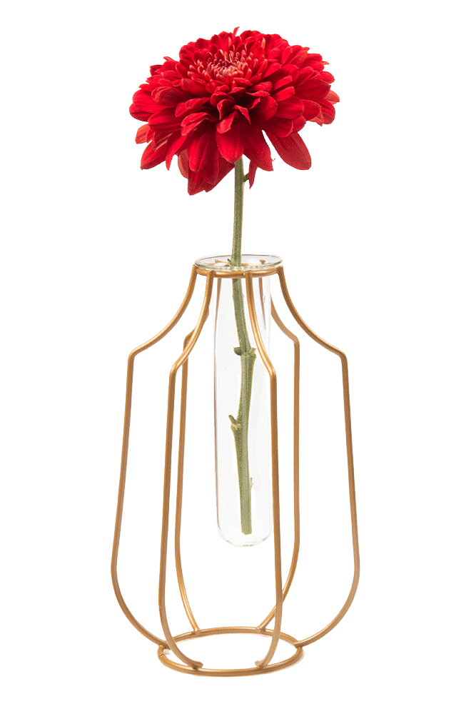 Test Tube Glass Propagation Vase - Chive Ceramics Studio - Vases - Chive US