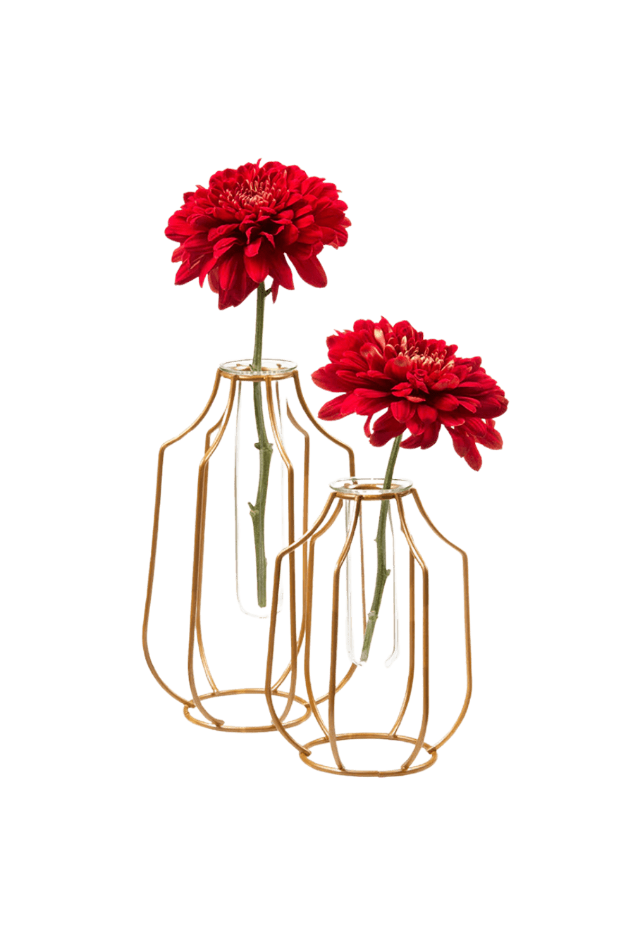 Test Tube Glass Propagation Vase - Chive Ceramics Studio - Vases - Chive US