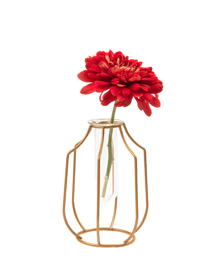 Test Tube Glass Propagation Vase - Chive Ceramics Studio - Vases - Chive US