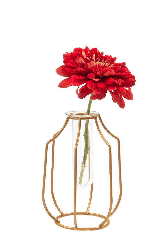 Test Tube Glass Propagation Vase - Chive Ceramics Studio - Vases - Chive US