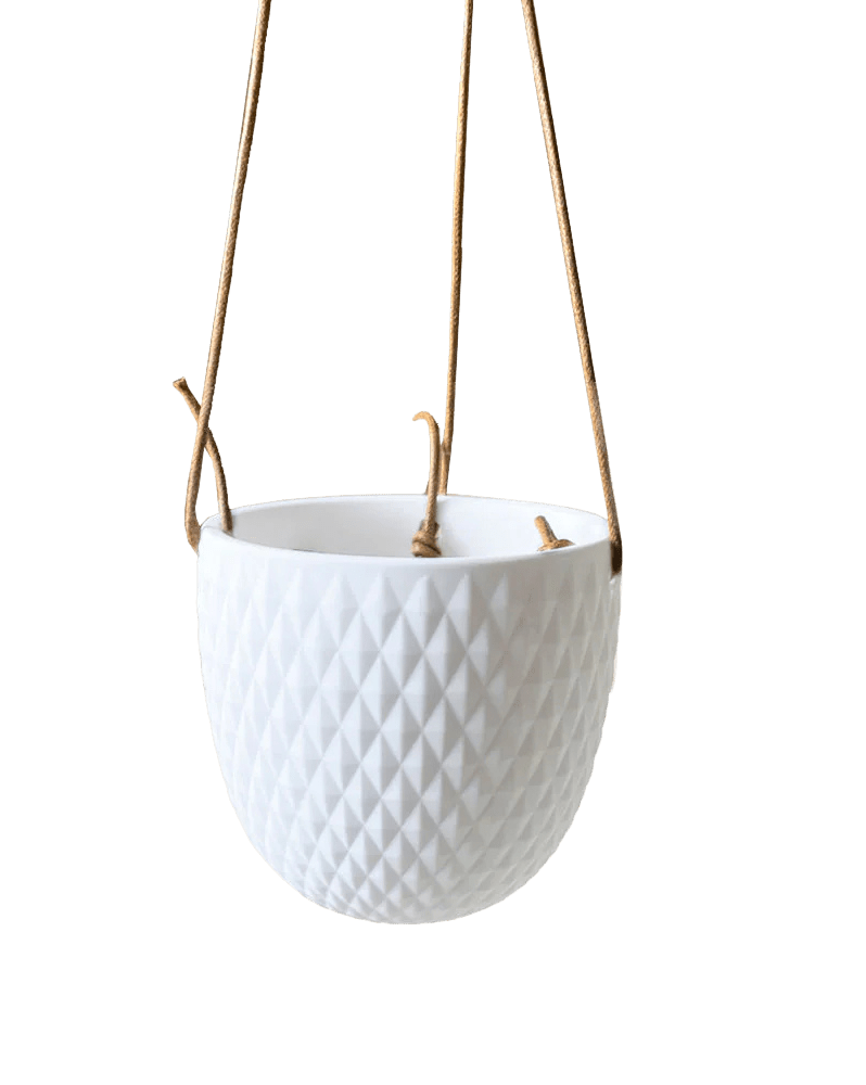 Virago Ceramic Modern Hanging Planter - Chive Ceramics Studio - Pots - Chive US