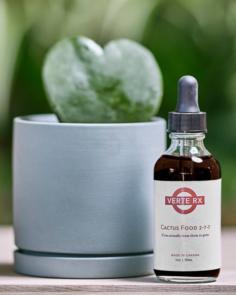 Verte Rx Cactus Plant Food 2 - 7 - 7 - Chive Ceramics Studio - Chive Ceramics Studio