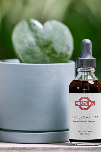 Verte Rx Cactus Plant Food 2 - 7 - 7 - Chive Ceramics Studio - Chive Ceramics Studio