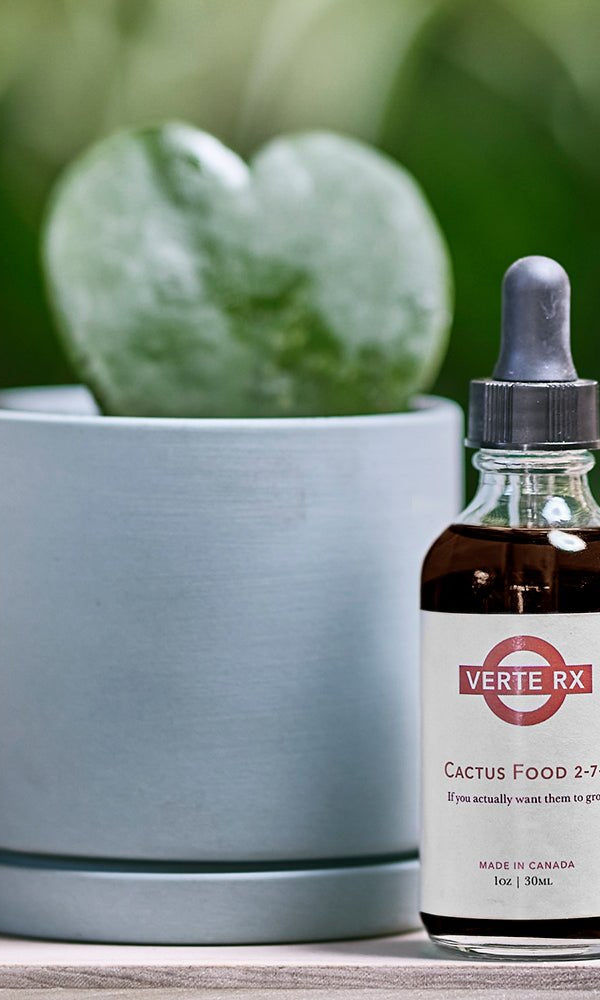 Verte Rx Cactus Plant Food 2 - 7 - 7 - Chive Ceramics Studio - Chive Ceramics Studio