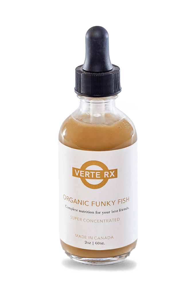Verte Rx Organic Funky Fish Plant Food - Chive Ceramics Studio - Chive US