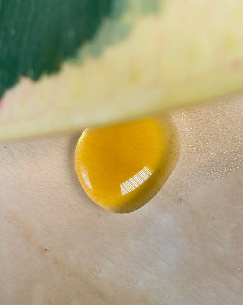 Verte Rx Organic Funky Fish Plant Food - Chive Ceramics Studio - Chive US